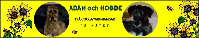 Adam och Hobbe - Tv coola Varghundar p ntet