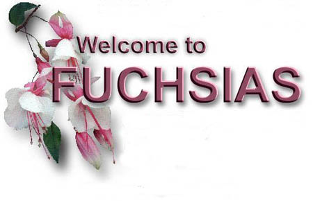 adec97rubrikciataion2.jpg (23407 bytes)