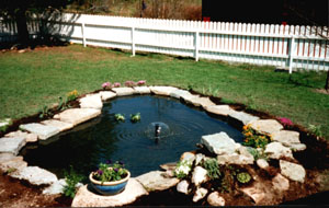 Nygjord damm juni-99