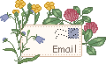 emailfin.gif (2099 bytes)