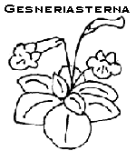 geslogo.gif (3375 bytes)