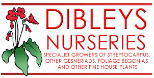 newtitle.gif (14922 bytes)