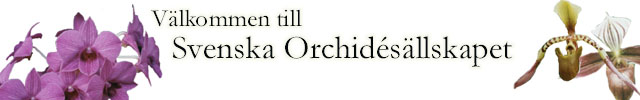 titellogo.jpg (21782 bytes)