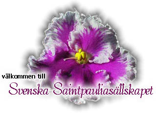 welcome.jpg (22706 bytes)